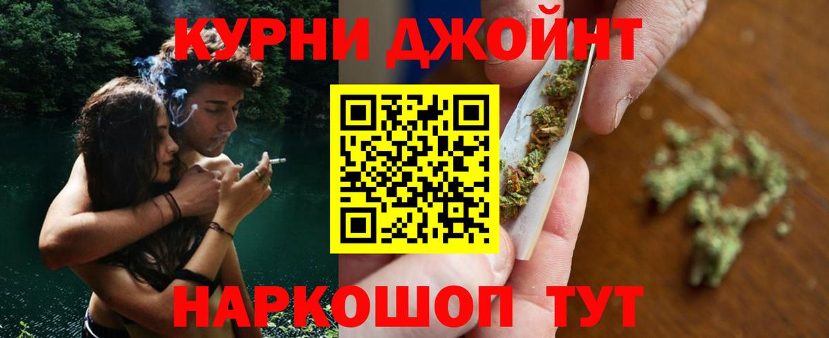 Конопля сатива Алейск